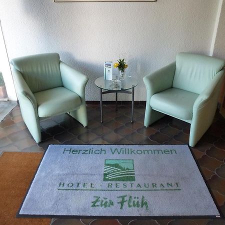 Hotel Zur Flueh Bad Säckingen Eksteriør billede